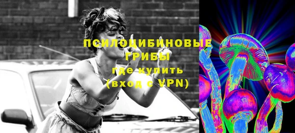 винт Аркадак