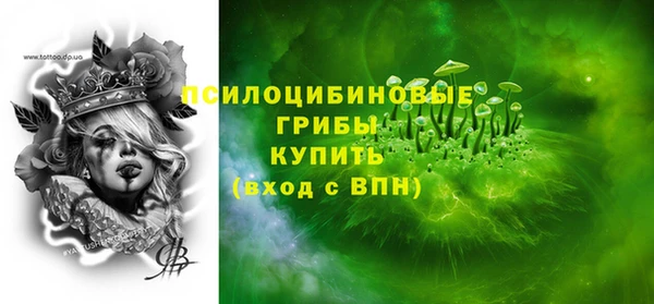 винт Аркадак