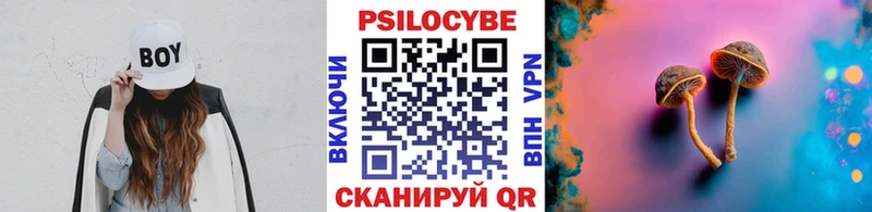 Псилоцибиновые грибы мицелий  Суджа 